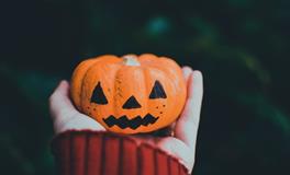 梦到花色大蟒蛇