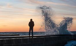 2019年属鼠的贵人属相是谁