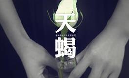 天蝎座2018年11月桃花运详解