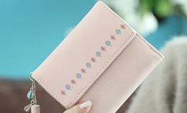 摩羯座的专属钱包