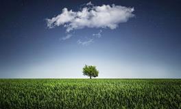 梦见拔草是什么意思