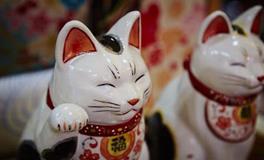 EVA塔罗：有些人天生幸运神眷顾这辈子，你有什么样好运打不走