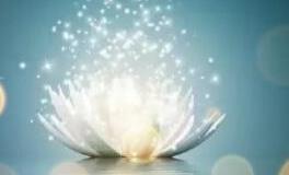 11月底逃脱不了破财的星座