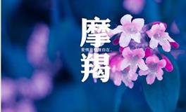 十二星座谁最聪明？摩羯座排第几？