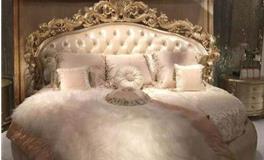 狮子座的公主床