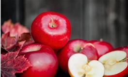 摩羯座代表的水果