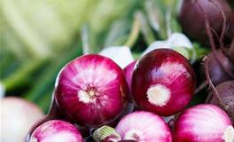 梦见洋葱啥意思