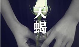 十二星座智商排名，天蝎座智商排名