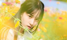 易鑫2019年1月29日生肖运势