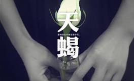 天蝎座守护星，天蝎座的守护星是什么