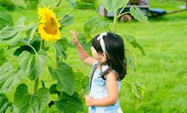 2019年女孩小名大全
