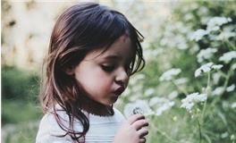 五行缺木女孩名字