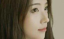 属猪2020年带什么吉祥物最好