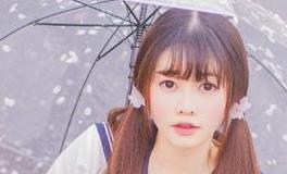 属猪2020年幸运色 生肖猪2020年忌讳什么颜色