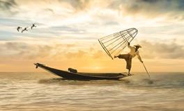 梦见抓鱼是什么意思周公解梦