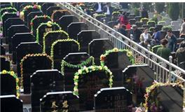 清明节扫墓用什么花