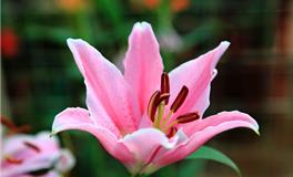 春分有哪些习俗