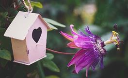 孕妇梦见坟墓是什么意思