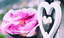 羲邑师姐2019年农历四月生肖运势