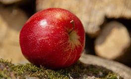 女人梦见别人送我苹果