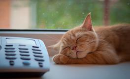 梦到自己在做梦