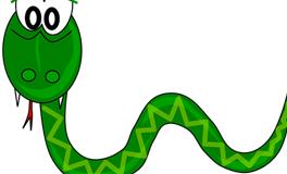 女人梦到蛇是怀孕吗