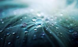 怀孕了经常梦到水