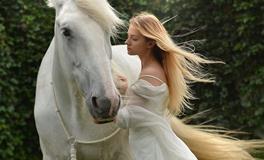 梦见我的马丢了去寻找