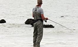 梦见自己抓了很多鱼