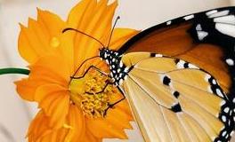 苏珊米勒周末运势（6.29-6.30）