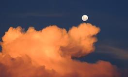 梦见月光照进屋子是什么意思