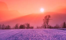 梦见被雨水淹没的田地