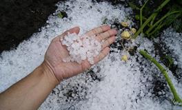 梦见孕妇被冰雹砸伤