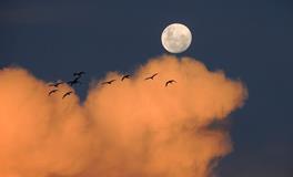 梦见白天的月亮