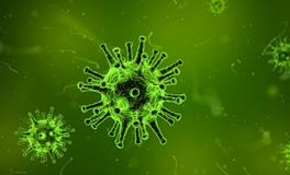 梦见自己得了狂犬病