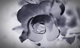 梦见回家发现有人在出殡