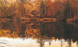 梦见自己房子在水底