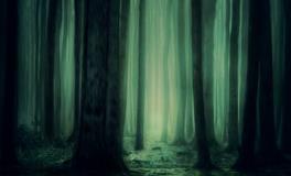 梦见没有到过的地方