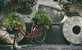 梦见死去的人跟我说话好不好