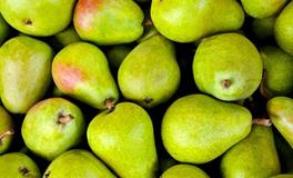 梦见梨是什么意思