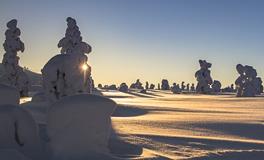 梦见下雪出太阳运势好不好