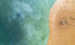 梦见大海退潮是什么意思