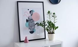 养花越多越好吗