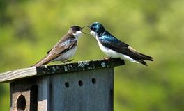 梦见朋友吵架运势好不好
