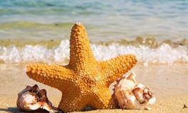 朋友圈绝不会设置三天可见的星座