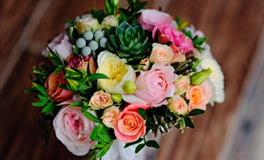 苏珊米勒每日运势2019年9月4日