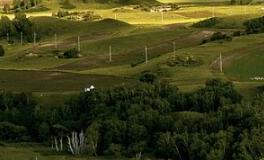 苏珊米勒每日运势2019年10月1日