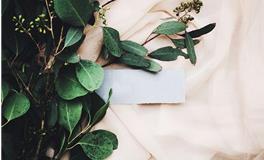 苏珊米勒每日运势2019年11月6日