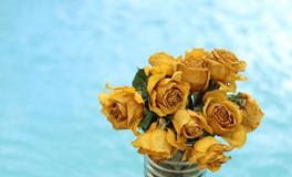 董易林2019年11月6日生肖运势