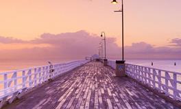 裴恩2020年十二星座运势盘点